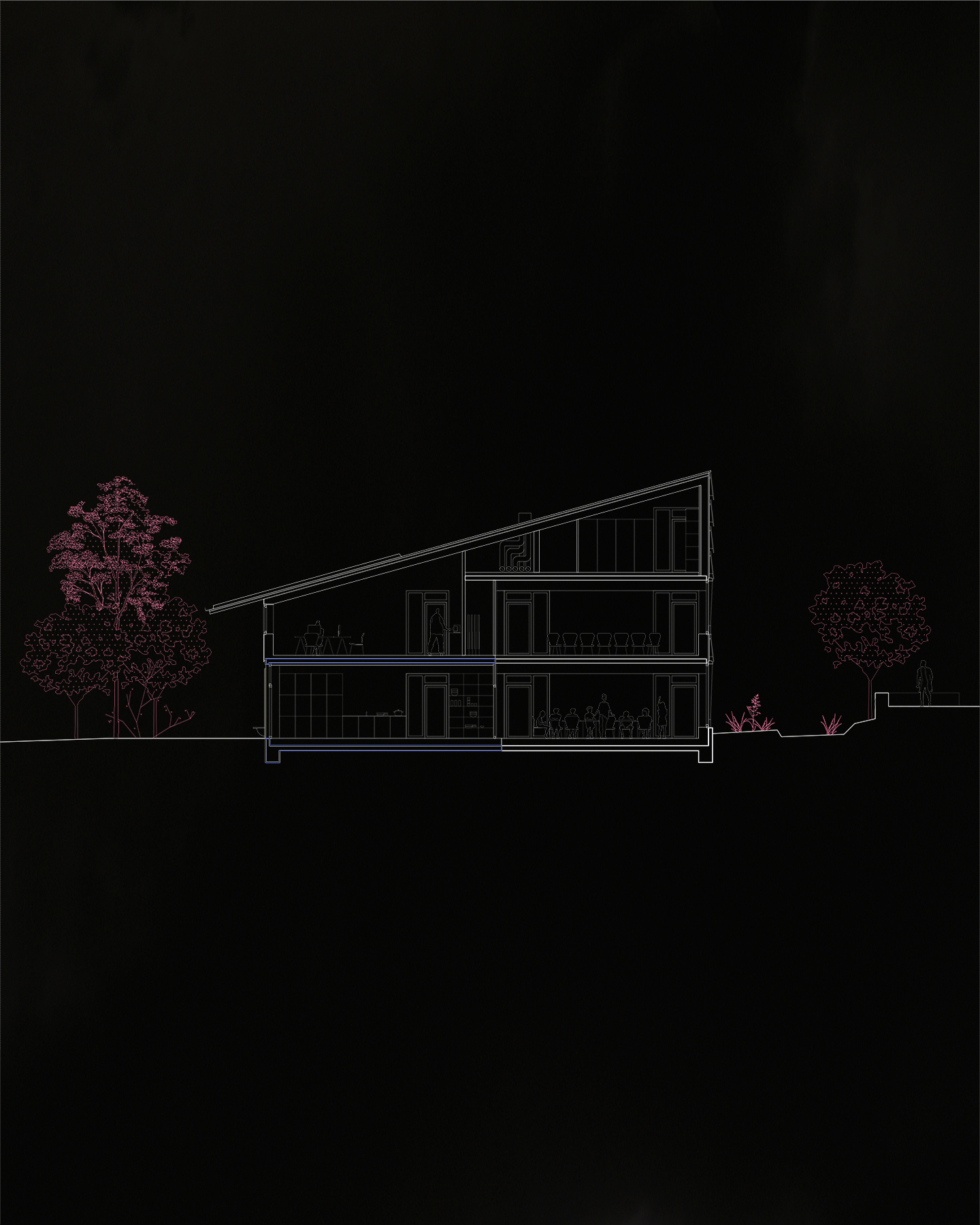 La maison bleue — coupe