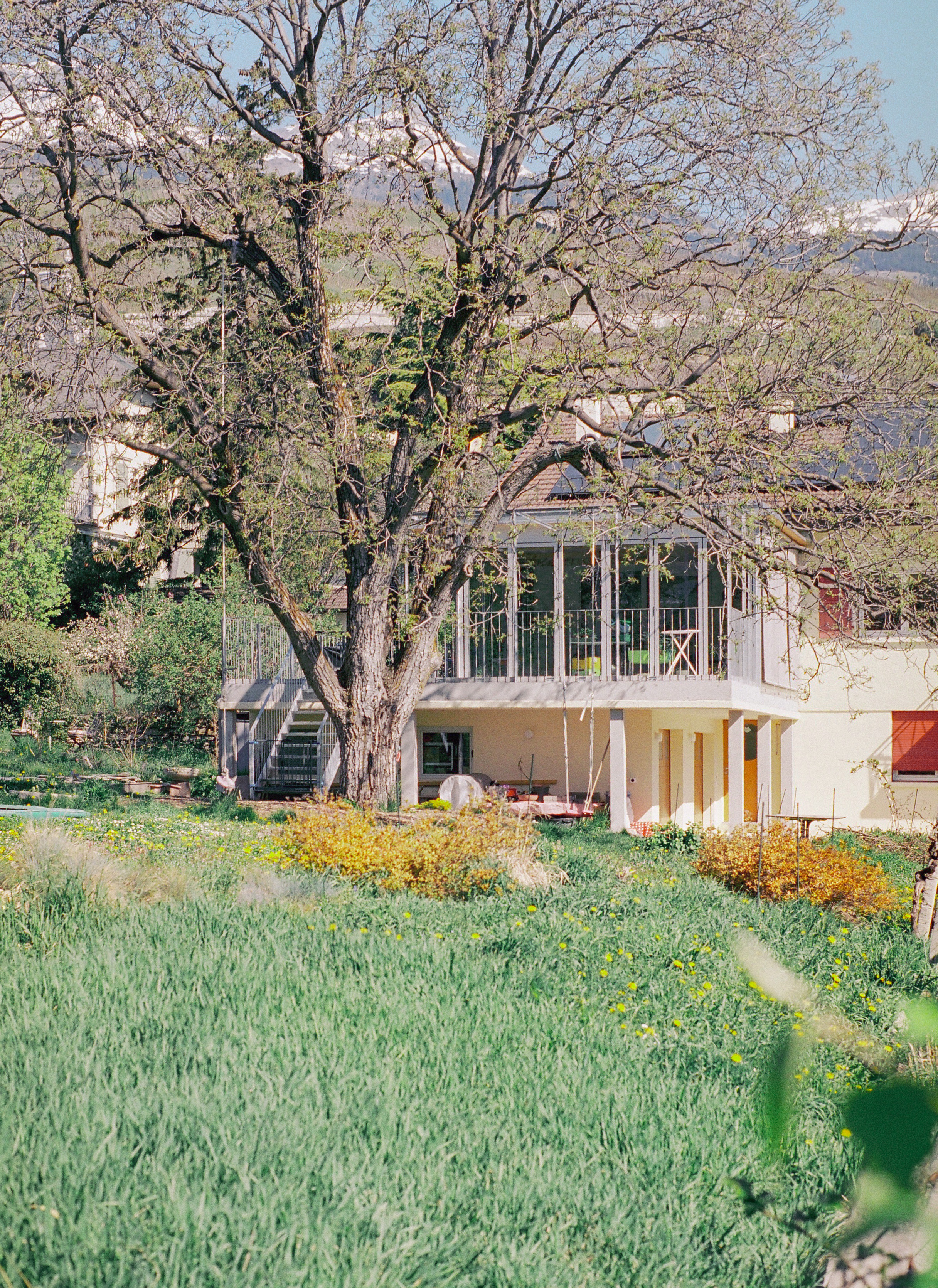 Solaris — vue depuis les champs